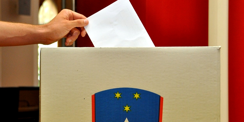 vodilna slika