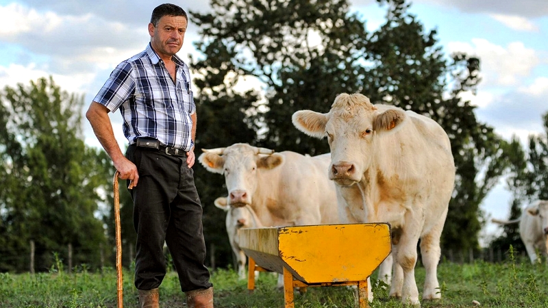agence-producteurs-locaux-damien-kuhn-113763