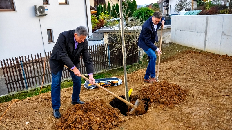 Zasaditev lipe ob zaključkih del v Šmihelu