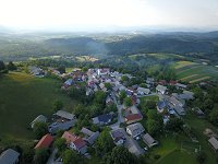 Veliki cerovec 1 (1)