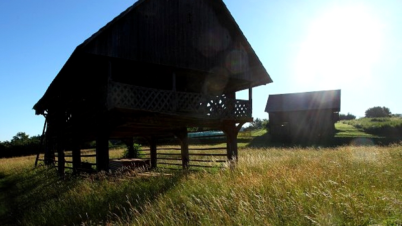 Levicar_Nm_VinjaVas_Kozolci_2012_06_16_IMG_4463