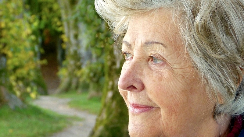 woman-3186741_1920