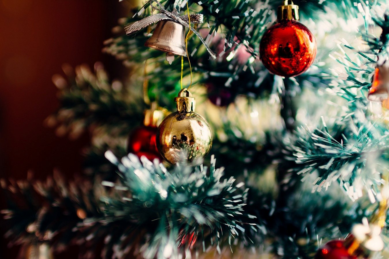 christmas-tree-1149619_1920.jpg