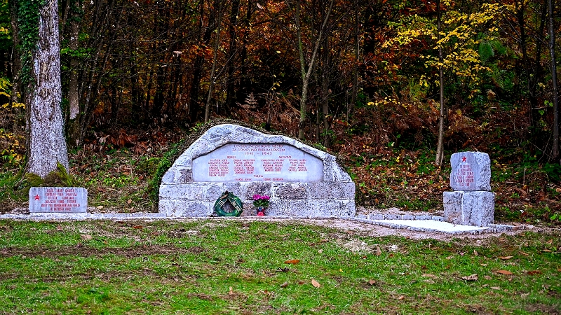 DSC_6733