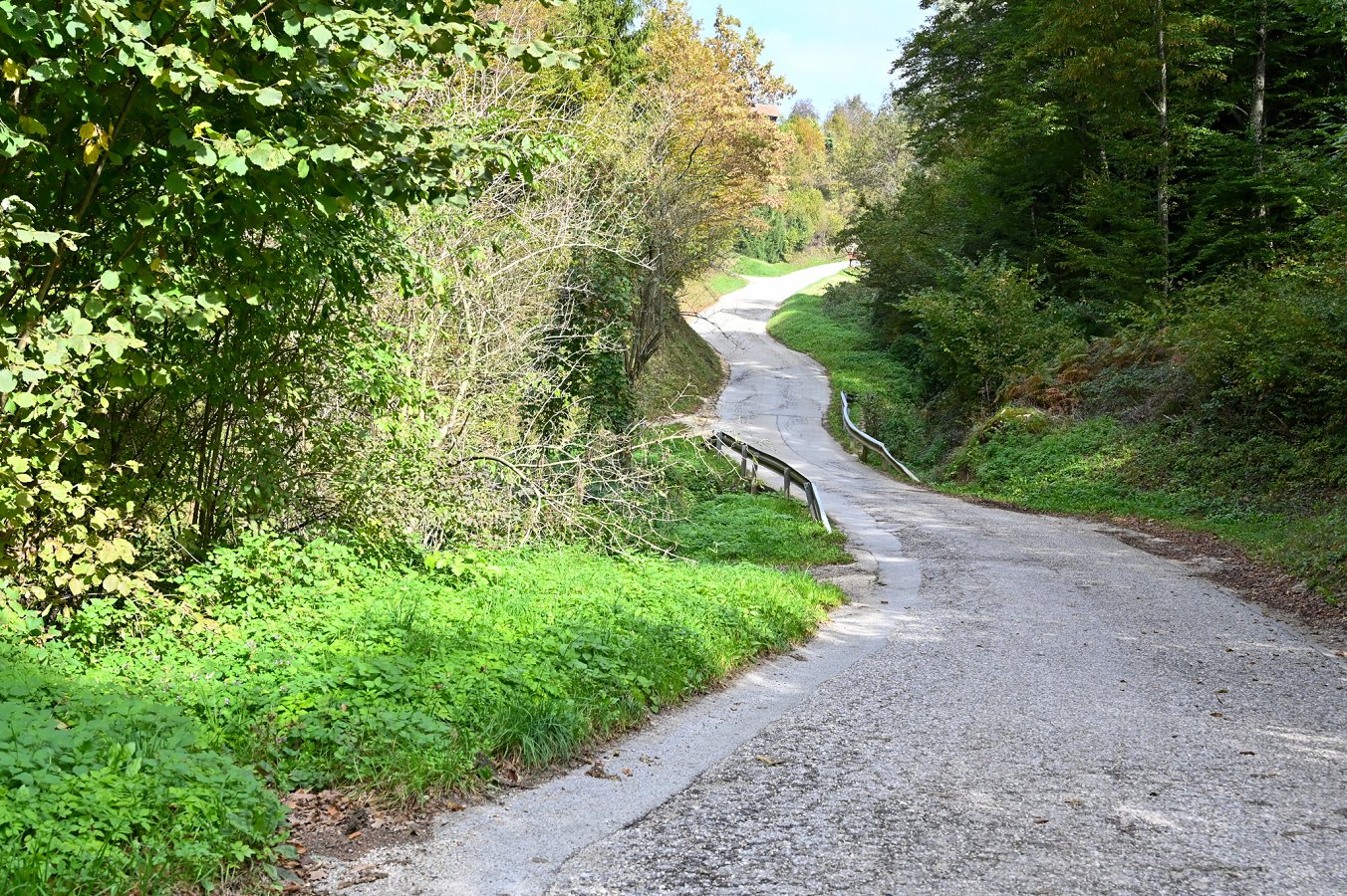Cesta Gabrje-Pangrč Grm