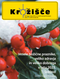 Krožišče_2022