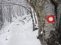 Željko Starčević- Markacija kod odmorišta Bukov hlad, zima.jpg