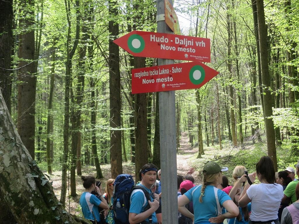 Rudolfovanje