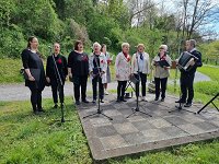 kronce-žica