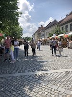 Festival brezglutenske ponudbe