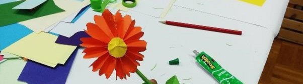 Banner_Rozice