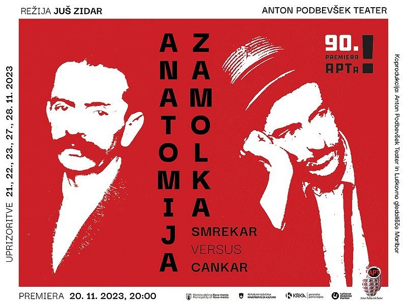 Anatomija zamolka