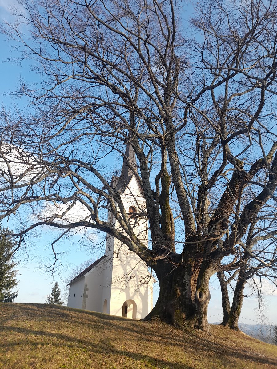 NEBESA 13.1.2024 MO (2)