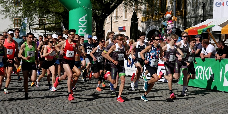 vodilna slika