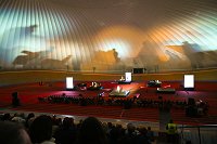 DSC_3023.jpg