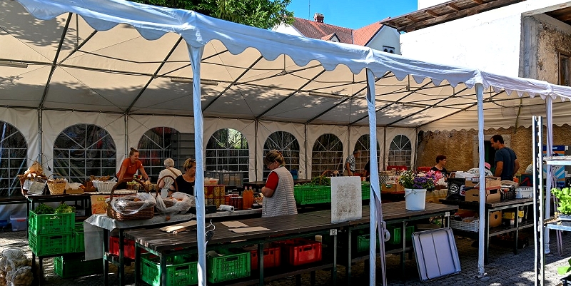 vodilna slika