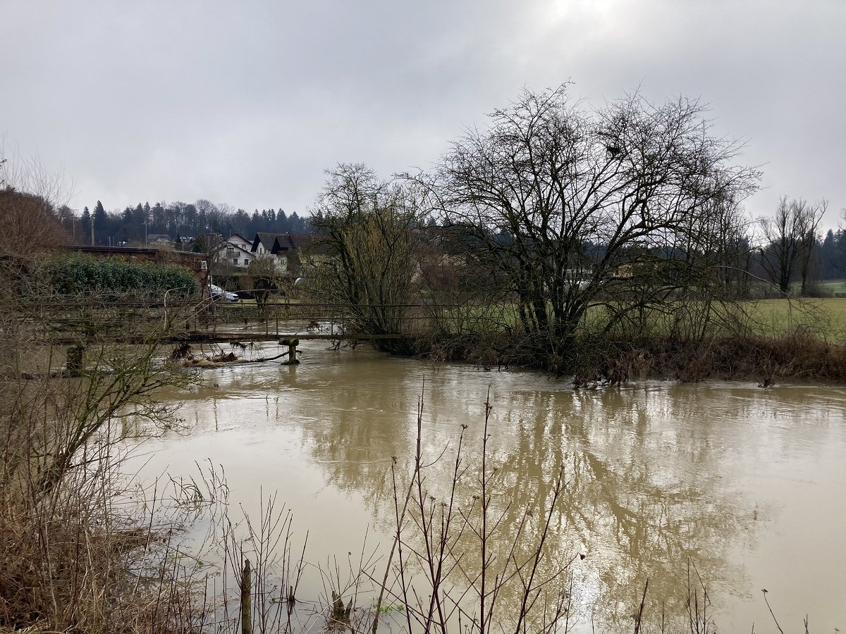 Temenica Uspešni na razpisu LAS DBK:  z novo brvjo čez Temenico do novih rekreacijskih priložnosti
