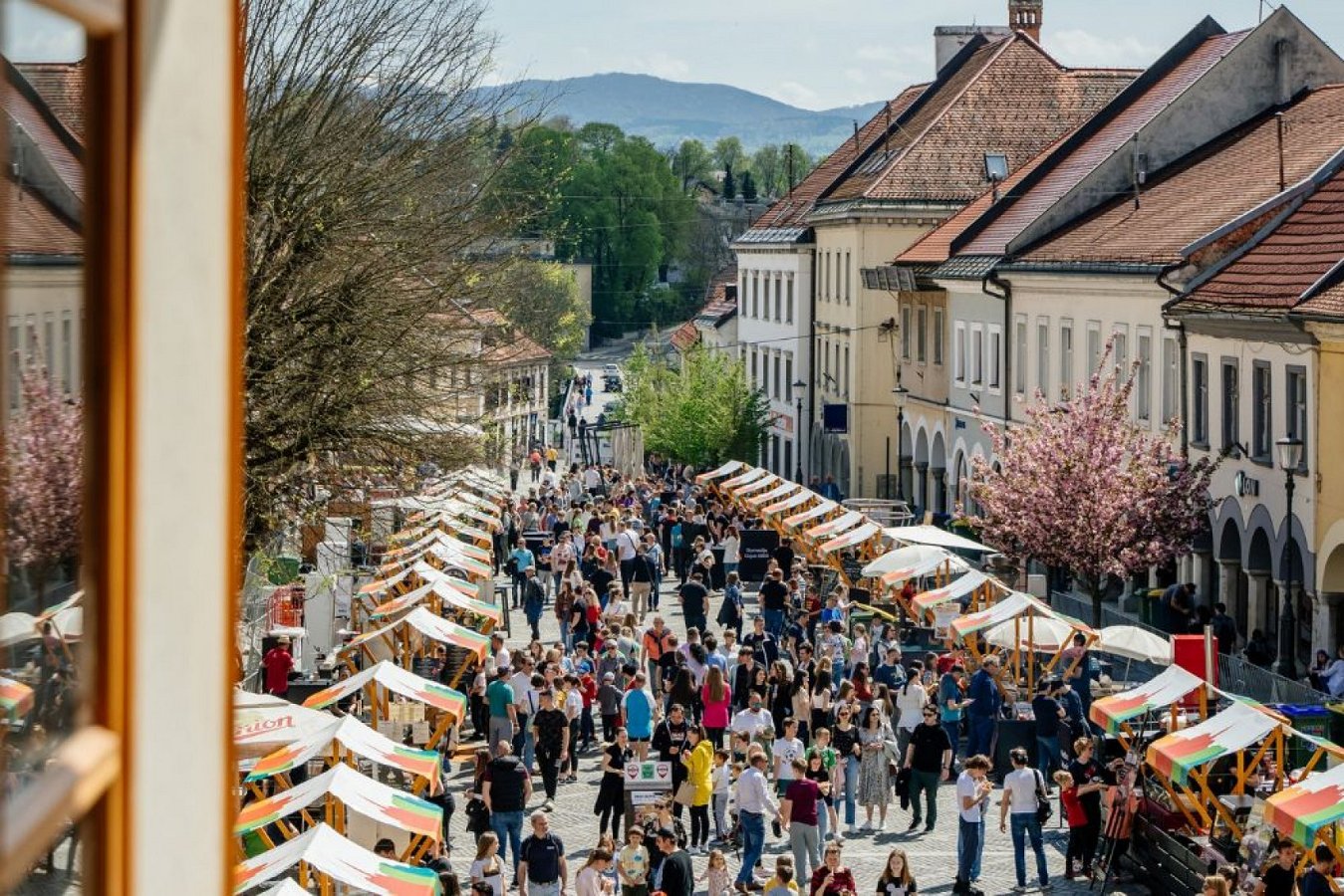  Razpis za delovno mesto Mestni menedžer / Mestna menedžerka 