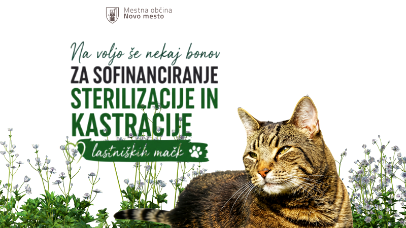 Na fotografiji je plakaz ta bone za sofinanciranje kastracije in sterilizacije mačk